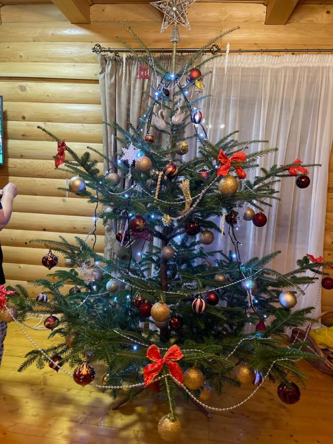 Вілла Софі Verkhovyna Dış mekan fotoğraf