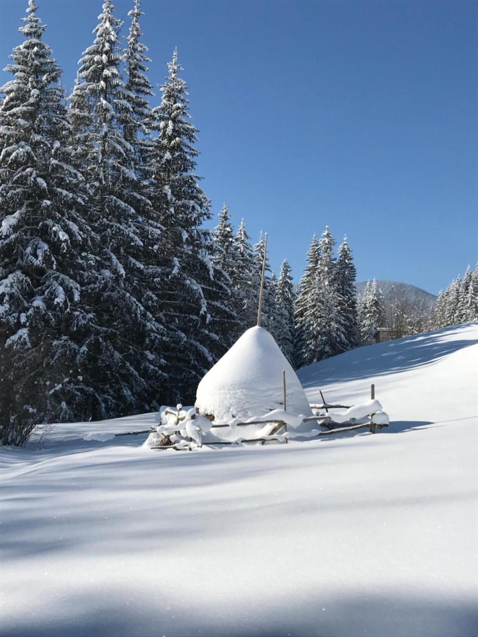Вілла Софі Verkhovyna Dış mekan fotoğraf